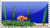 swimming fish